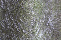 Littlebury Green fibreglass roof work